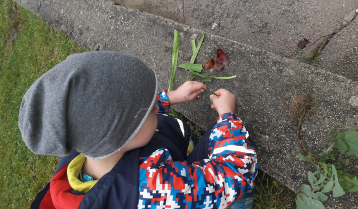11. fotografia fotogalérie Veselý koniec októbra  :)