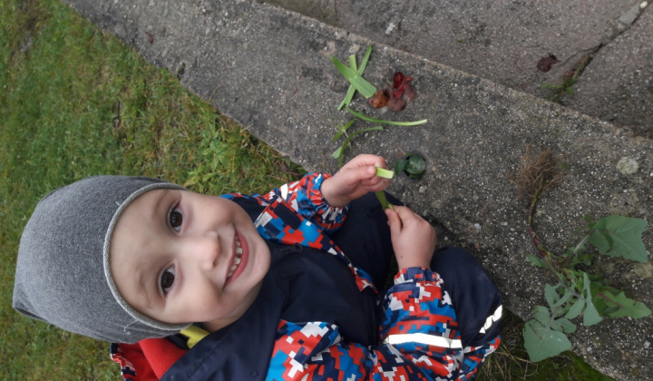 12. fotografia fotogalérie Veselý koniec októbra  :)