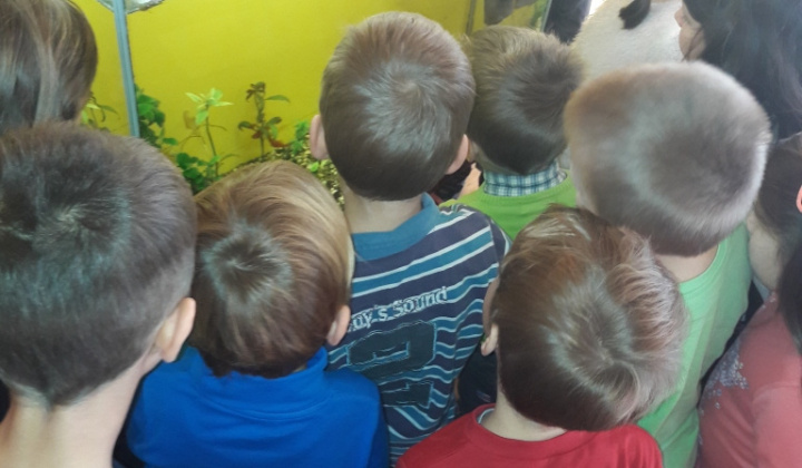 17. fotografia fotogalérie Veselý koniec októbra  :)