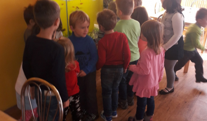 19. fotografia fotogalérie Veselý koniec októbra  :)