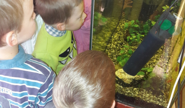 20. fotografia fotogalérie Veselý koniec októbra  :)