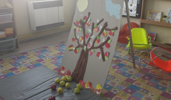 2. fotografia fotogalérie November 2016