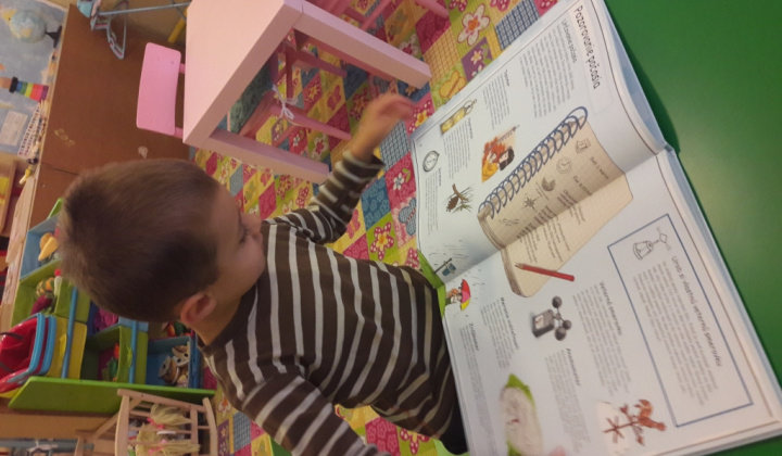 14. fotografia fotogalérie November 2016