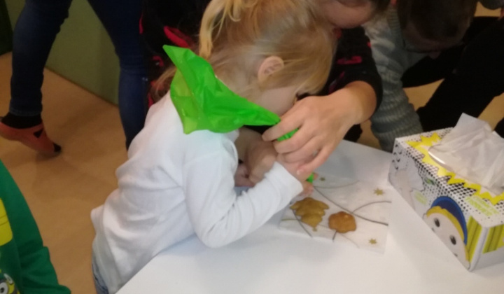 16. fotografia fotogalérie Vianočná dielnička