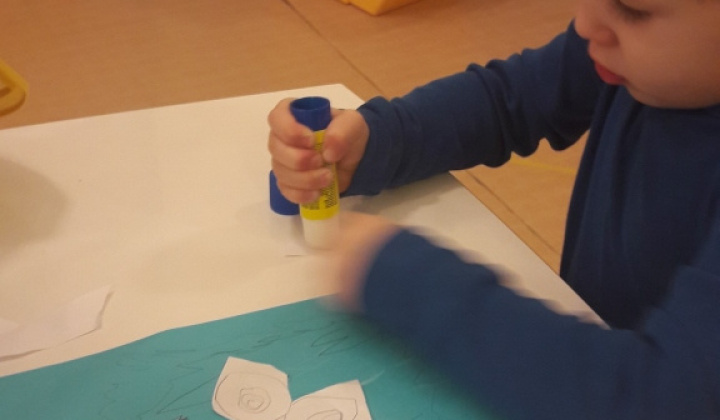 6. fotografia fotogalérie Január 2017