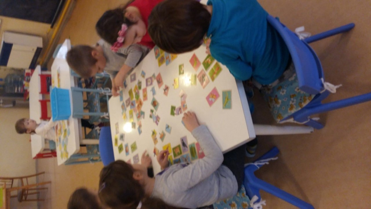 Fotografia fotogalérie zima