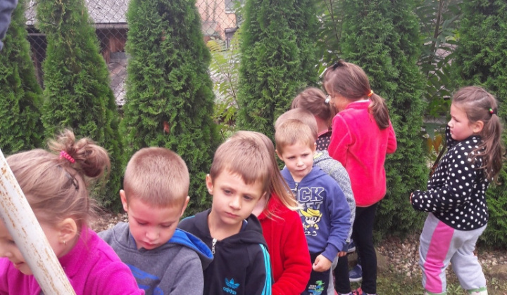 24. fotografia fotogalérie September 2017 - začali sme...