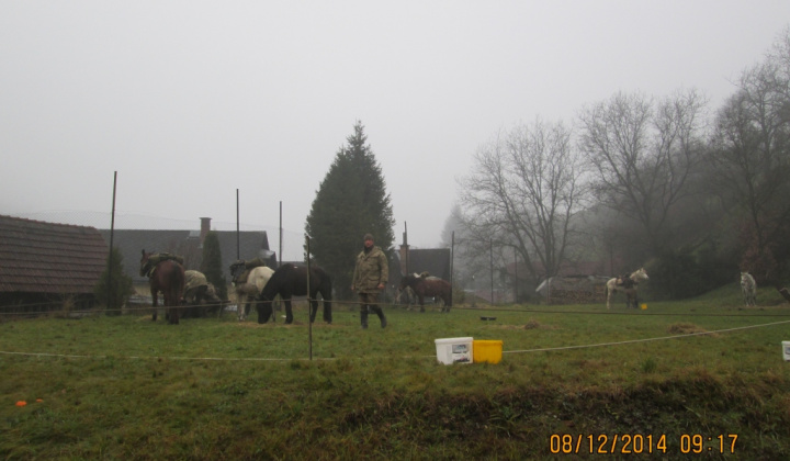 19. fotógaléria fotózás Husári  v Čučme 2014