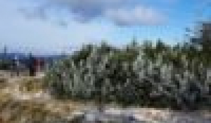 13. fotografia fotogalérie Výstup na Volovec 2015