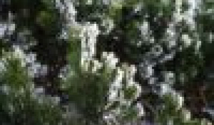 14. fotografia fotogalérie Výstup na Volovec 2015