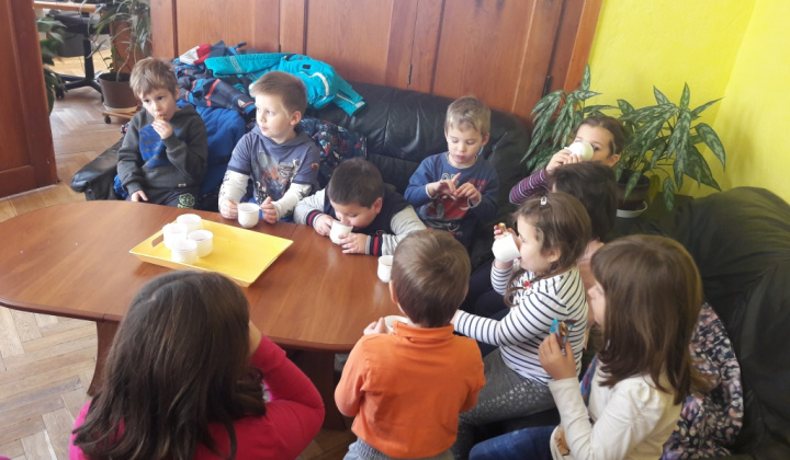 10. fotografia fotogalérie 