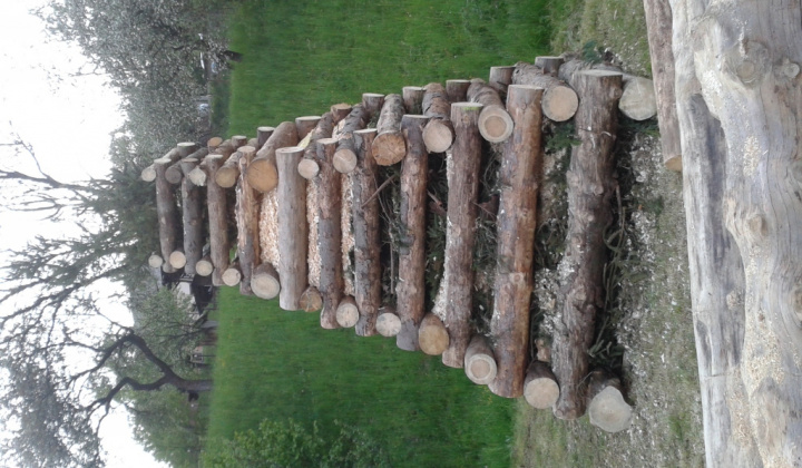 6. fotografia fotogalérie 