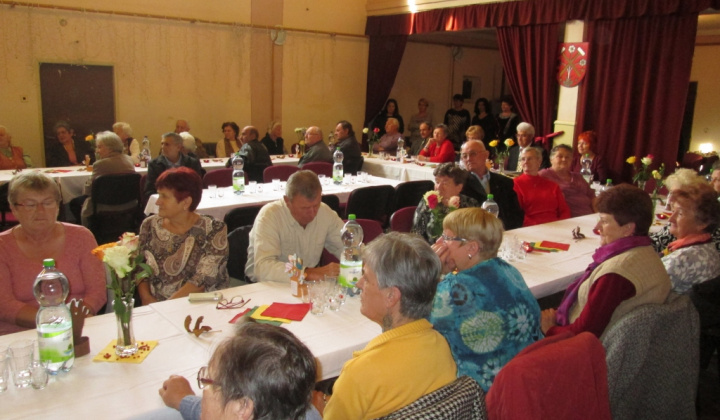 7. fotografia fotogalérie 