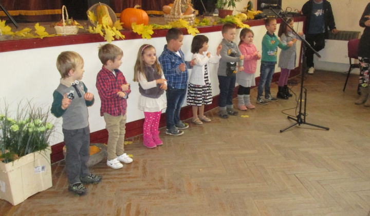 11. fotografia fotogalérie 