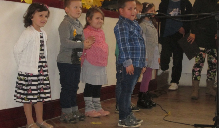 12. fotografia fotogalérie 