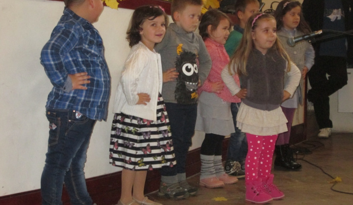 17. fotografia fotogalérie 