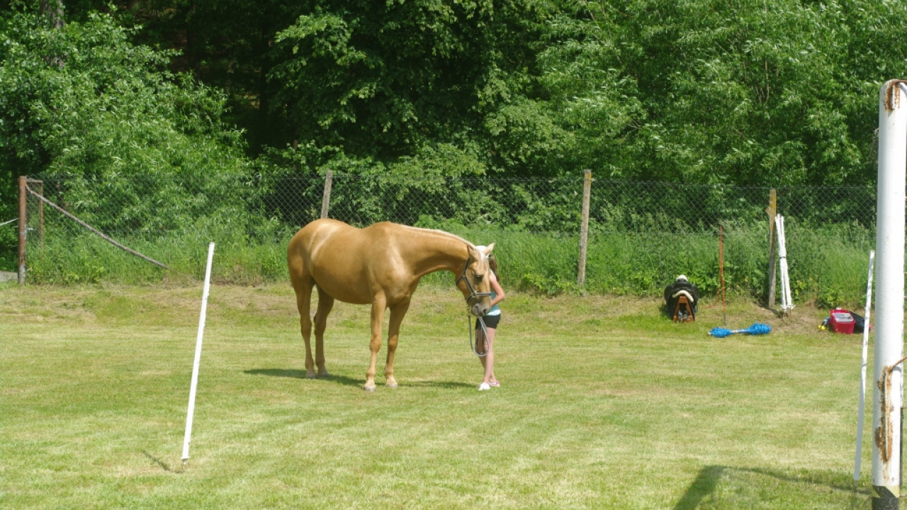 Fotografia fotogalérie