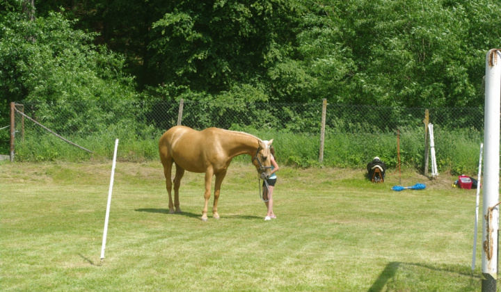 1. fotografia fotogalérie 