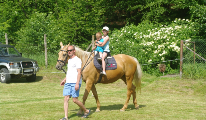 10. fotografia fotogalérie 