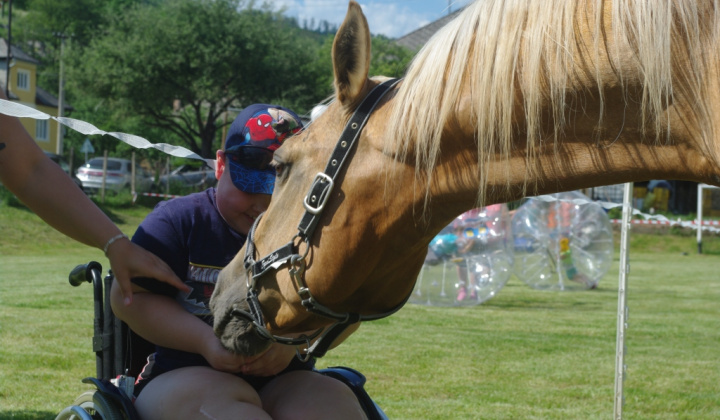 24. fotografia fotogalérie 