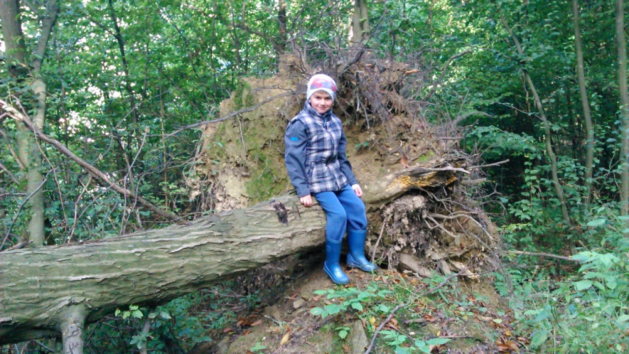 Fotografia fotogalérie Začiatok školského roka 2014/2015