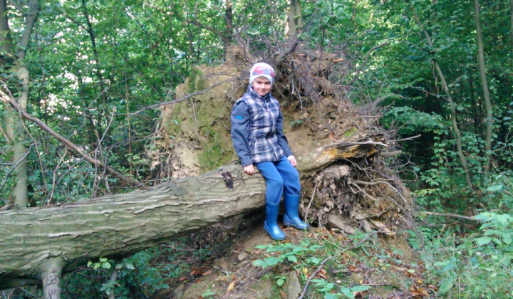 1. fotógaléria fotózás Začiatok školského roka 2014/2015