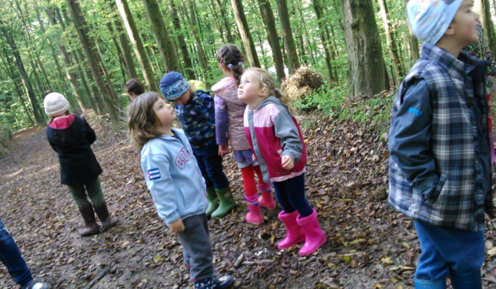 6. fotógaléria fotózás Začiatok školského roka 2014/2015