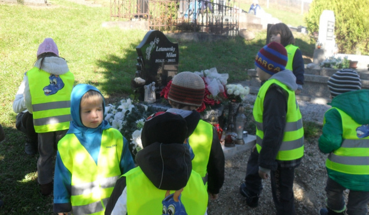 15. fotografia fotogalérie Ešte niečo z jesene v materskej škole 2014/2015