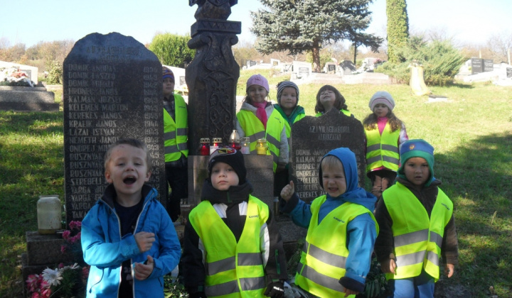 16. fotografia fotogalérie Ešte niečo z jesene v materskej škole 2014/2015