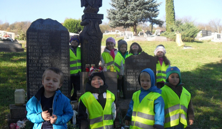 17. fotografia fotogalérie Ešte niečo z jesene v materskej škole 2014/2015