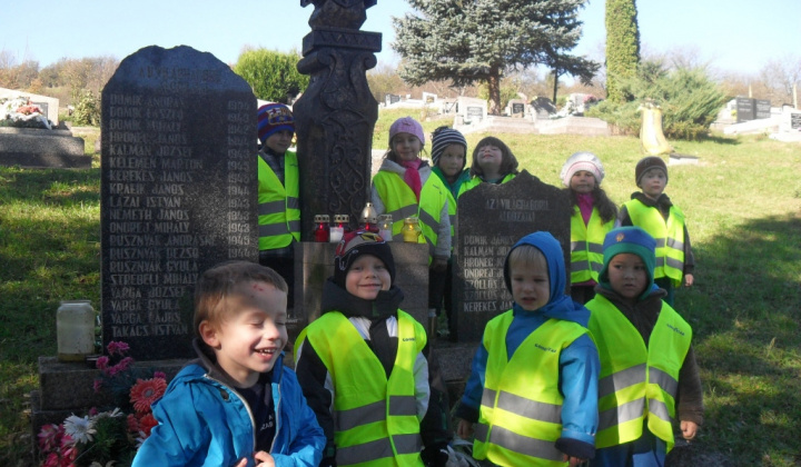 18. fotografia fotogalérie Ešte niečo z jesene v materskej škole 2014/2015