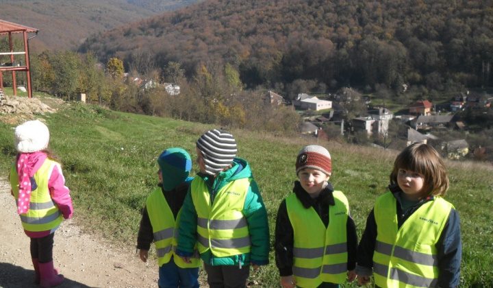 22. fotografia fotogalérie Ešte niečo z jesene v materskej škole 2014/2015