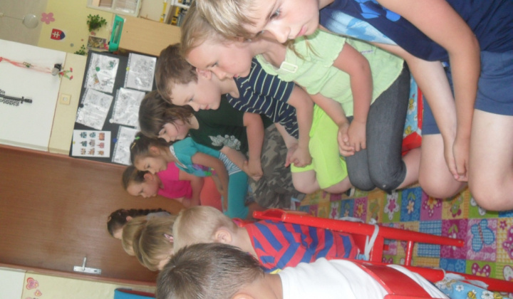 5. fotógaléria fotózás Kúzelník v materskej škole