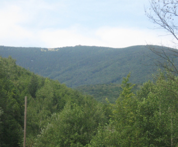 O najkrajší dvor a balkón 2009