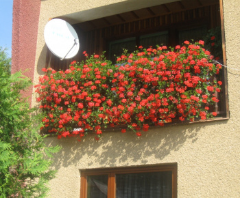 O najkrajší dvor a balkón 2009