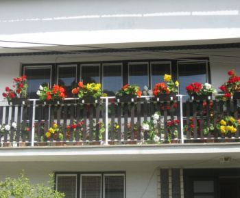 O najkrajší dvor a balkón 2009