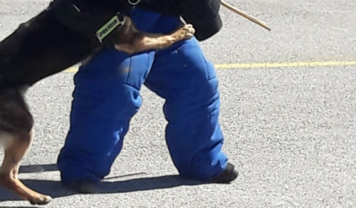 23. fotografia fotogalérie Výlet do kasární