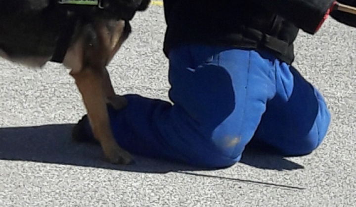 24. fotografia fotogalérie Výlet do kasární