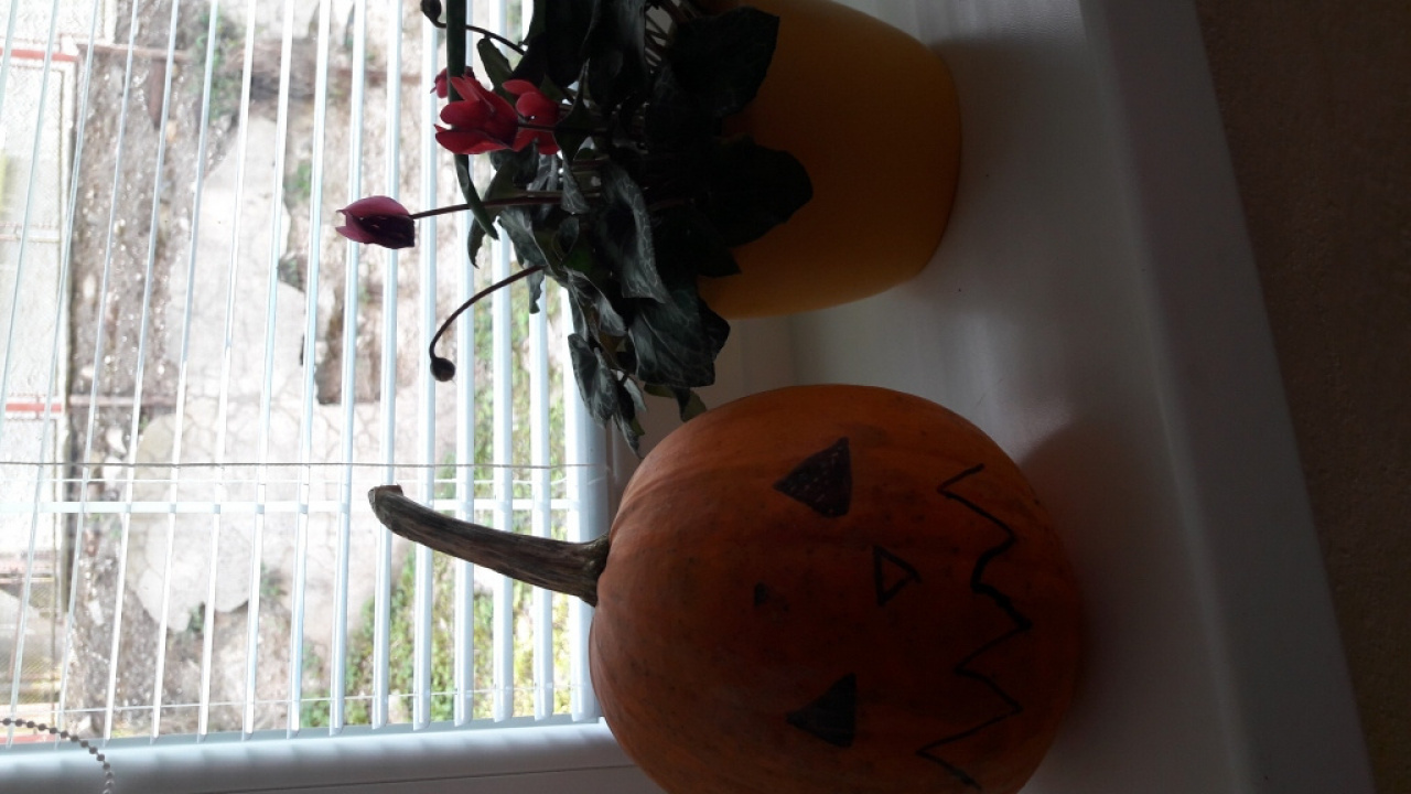 Fotografia fotogalérie Október 2016