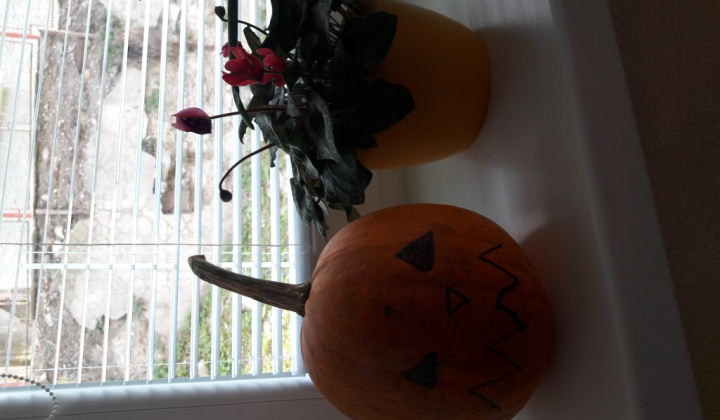 1. fotografia fotogalérie Október 2016