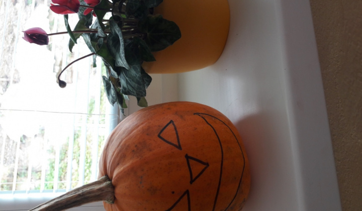 2. fotografia fotogalérie Október 2016