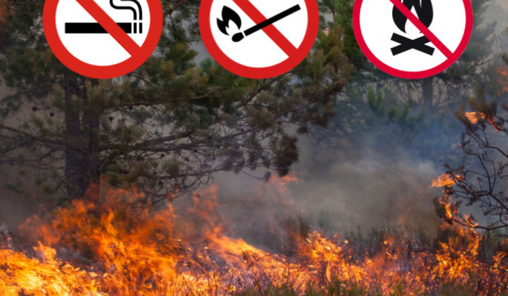 Fotka - Opatrenia na zabezpečenie ochrany lesov pred požiarmi na rok 2026