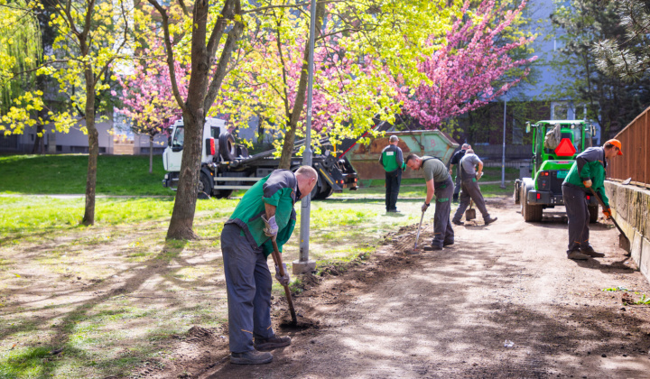 Fotka - Jarná brigáda